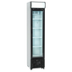 TEFCOLD FSC175H Displaykyl 114 L