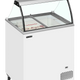 TEFCOLD IC202SC-SO Glassfrys 191 L Statisk