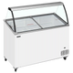 TEFCOLD IC402SCE-SO Glassfrys 352 L Statisk
