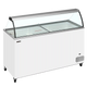 TEFCOLD IC502SC-SO Glassfrys 491 L Statisk