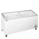 TEFCOLD IC552SCEB Frysbox 540 L Statisk