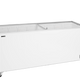 TEFCOLD IC702SC Frysbox 670 L Statisk R290