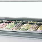TEFCOLD MILLENNIUM LX12 Glassfrys 630 L, detaljbild på beslag eller hantering