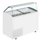 TEFCOLD UDRS10 Glassfrys 431 L Statisk R290
