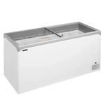 Tefcold NIC501SC Frysbox med stor kapacitet och skjutbara glasslock