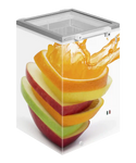 TEFCOLD ST160 Frysbox med fruktmotiv på utsidan.