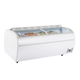 TEFCOLD TWIN 220-CF Frysbox 1255 L